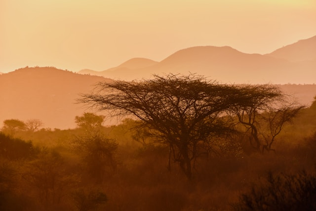 What is Unique about Tsavo West National Park?
