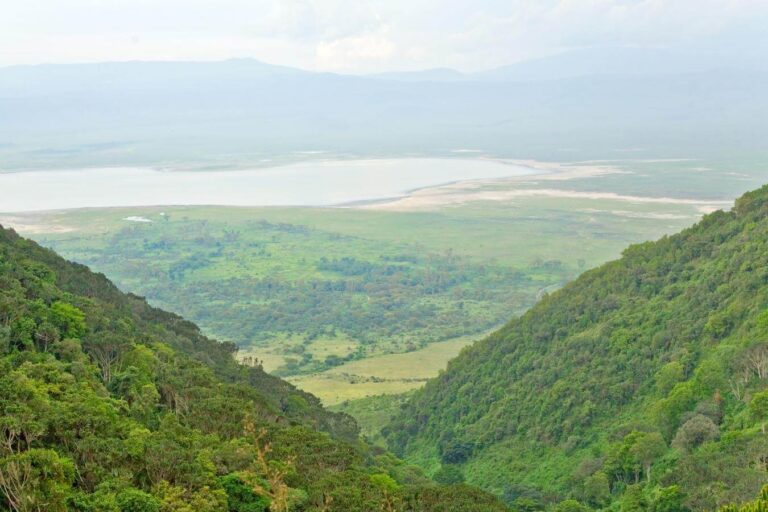14 Days Safari and Zanzibar
