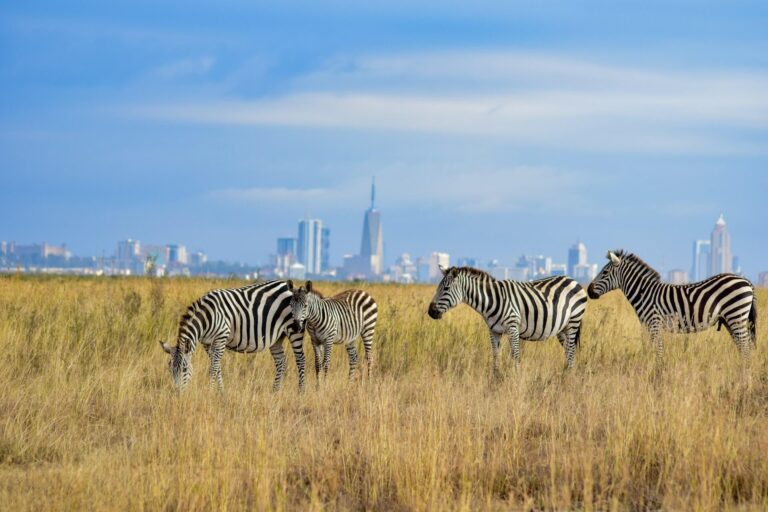 A Beautiful National Park 7km from a City