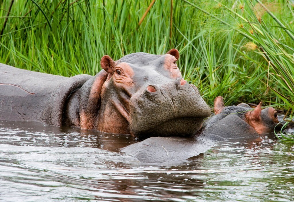 Top 5 Places to Visit in Botswana