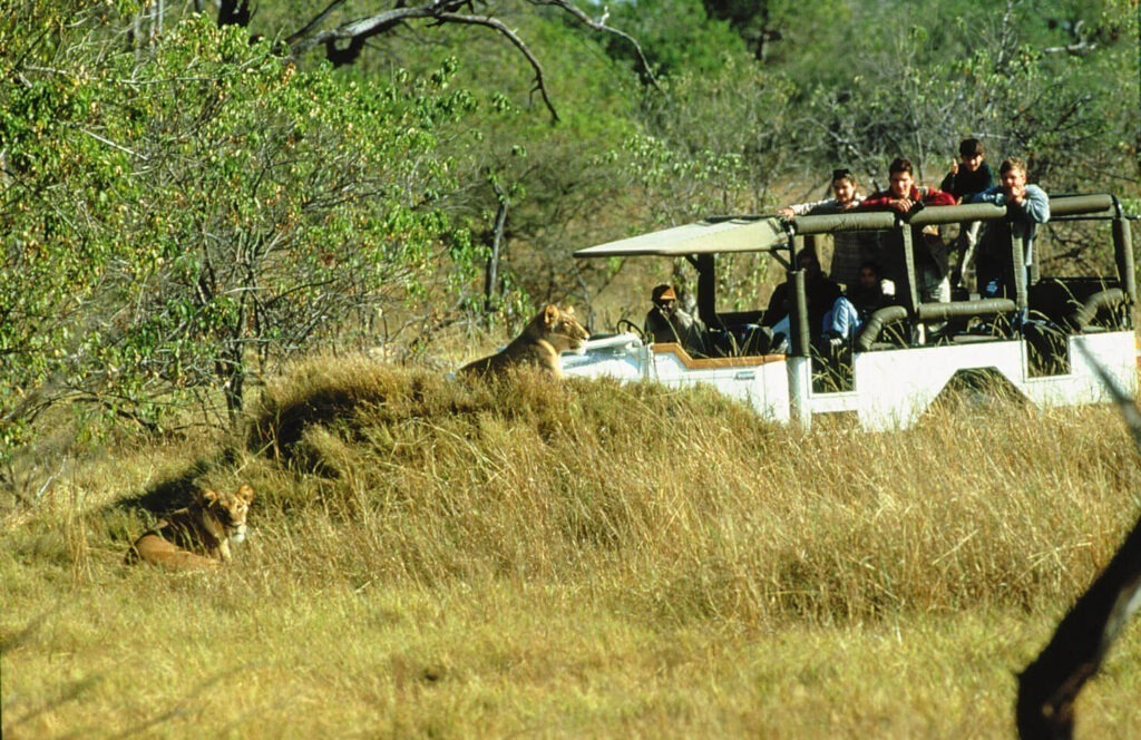 Top 5 Places to Visit in Botswana