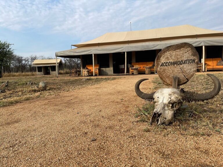 Common Questions to Consider Before a Safari Trip to Tanzania