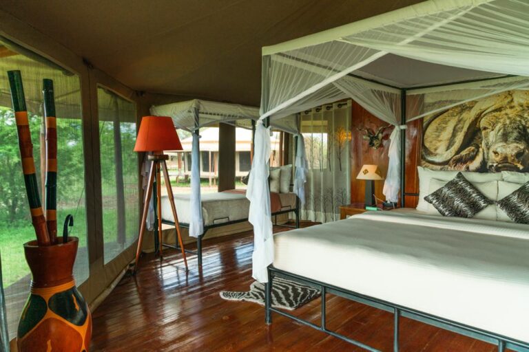 Safari Accommodations in Tanzania: Your Perfect Stay Awaits