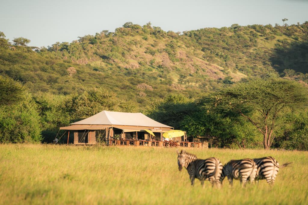 How Much Does it Cost for Accommodation on a Safari in Tanzania