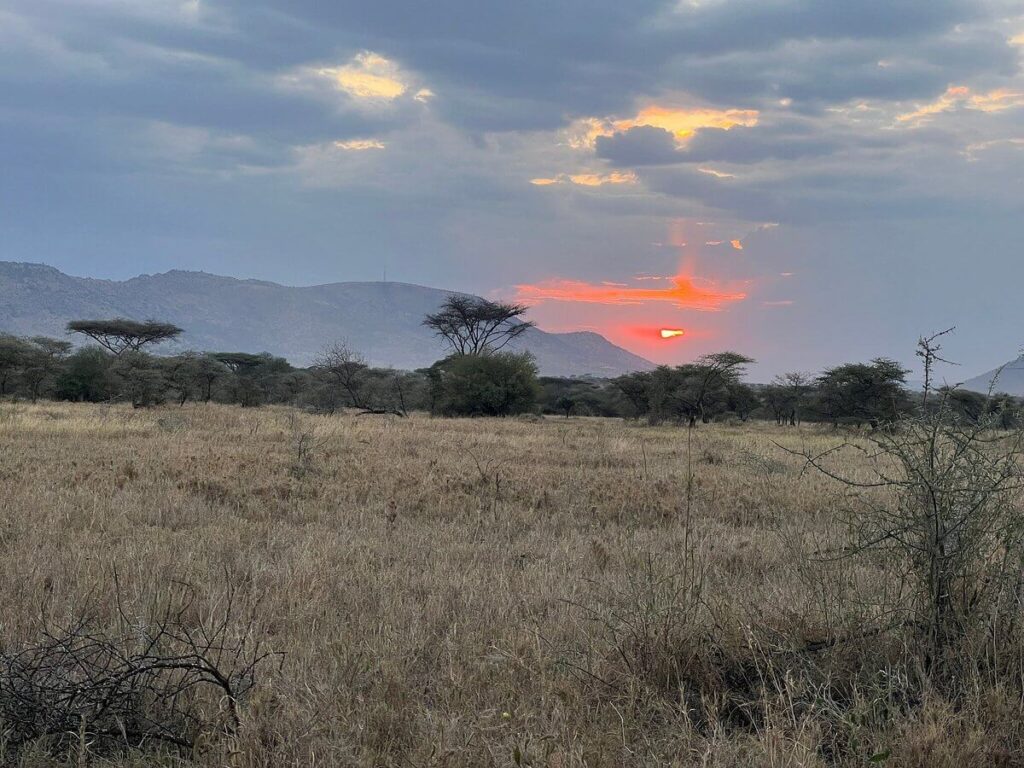 A Guide to Photographing Tanzania's Safari Wonders
