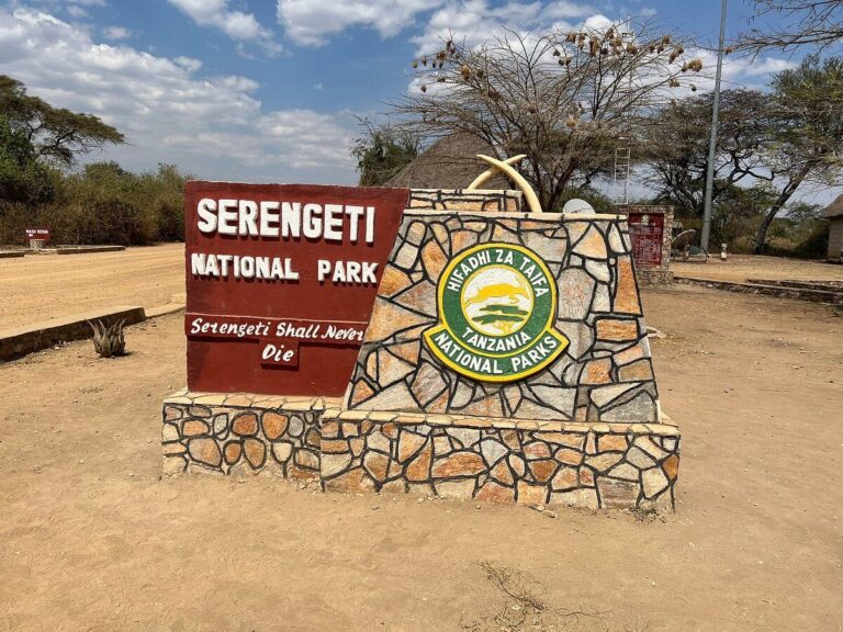 What are the 6 Major Tourist Activities During Your Tanzania Trip?