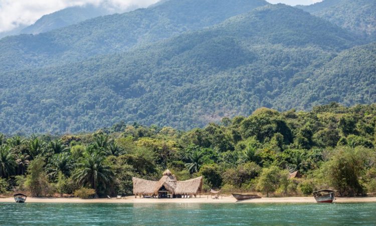 A Pristine Chimpanzee Paradise by Lake Tanganyika
