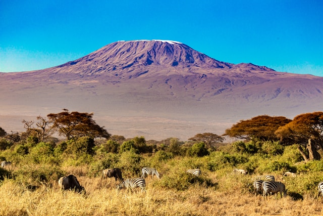 Discover the Most Visited National Parks in Kenya for Safari
