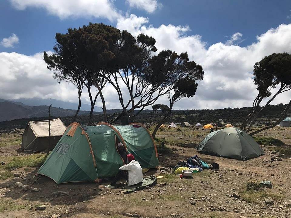 Without a question, some Tanzanian tour companies are superior to others
