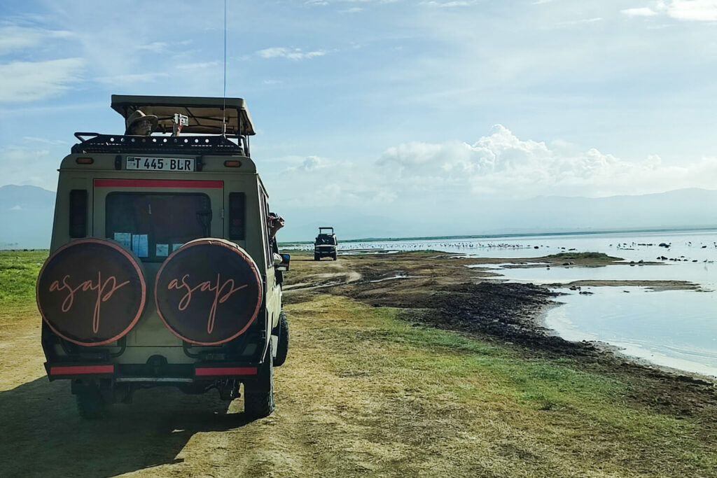 How to Plan a Wildlife Safari Holiday in Tanzania