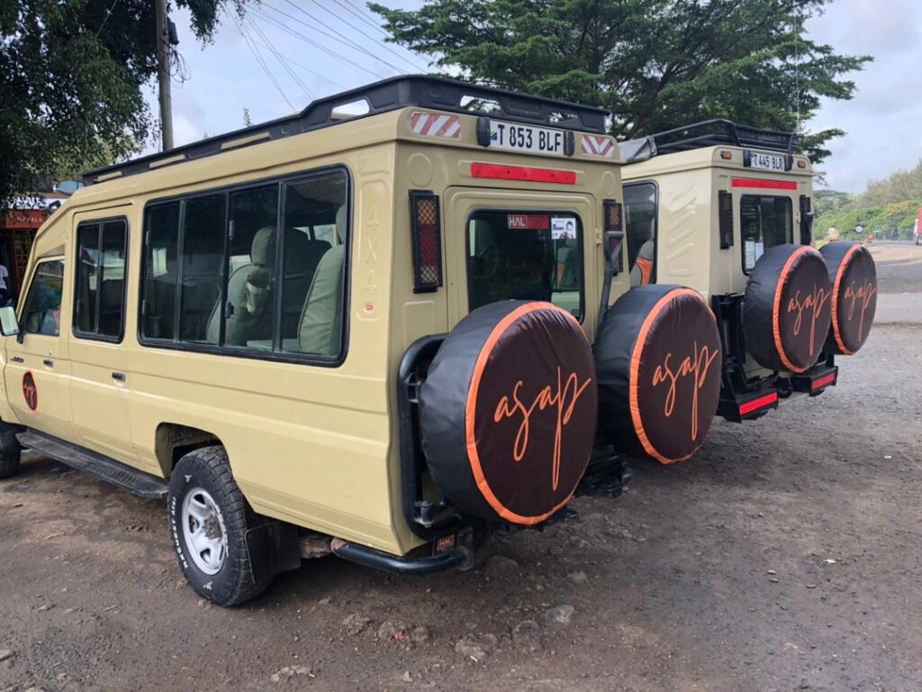 Jolita Safari