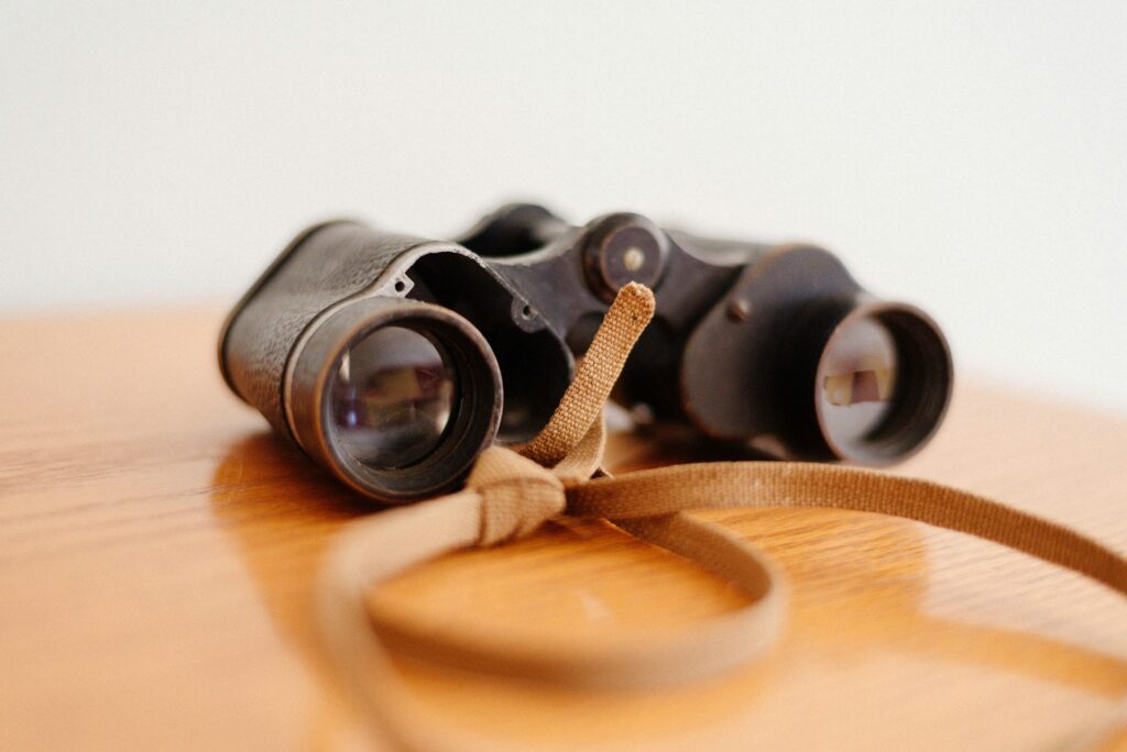 Top Best Lightweight Binoculars for your African Safari