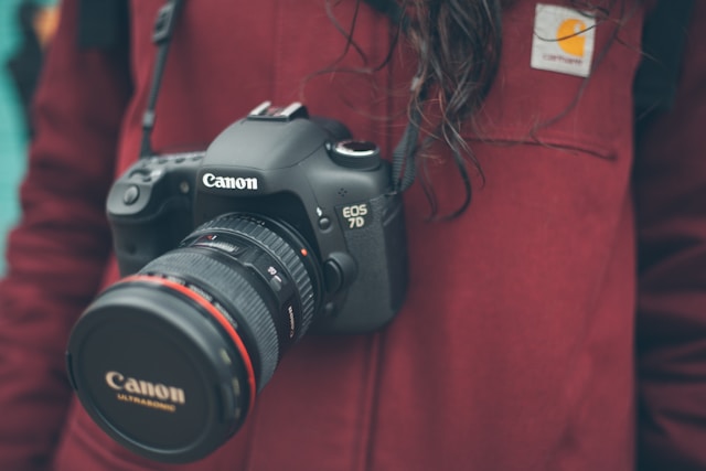 Top Digital Cameras for an Unforgettable African Safari