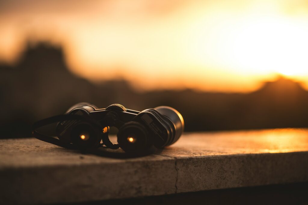 Top Best Lightweight Binoculars for your African Safari