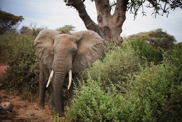 16 Absolute Best Things to Do on Your Holiday in Tanzania