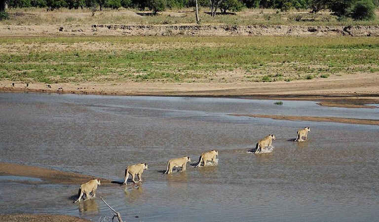 Serengeti National Park is in the heart of the vast savannas of East Africa