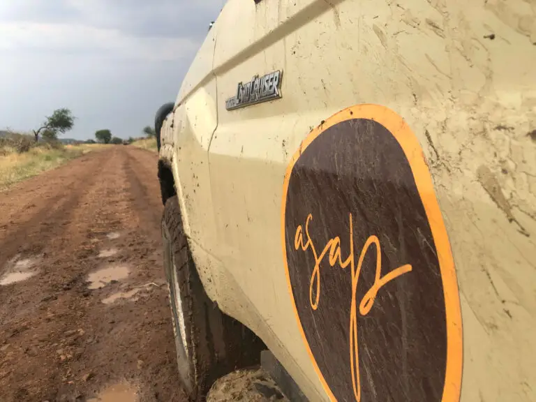 Where To Begin When It’s Time To Visit Serengeti National Park