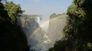 Best of Victoria Falls Safari
