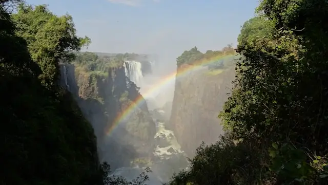 Best of Victoria Falls Safari