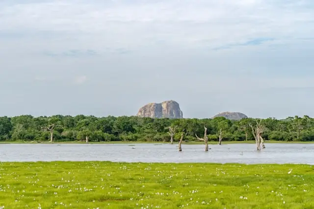 Lower Zambezi National Park