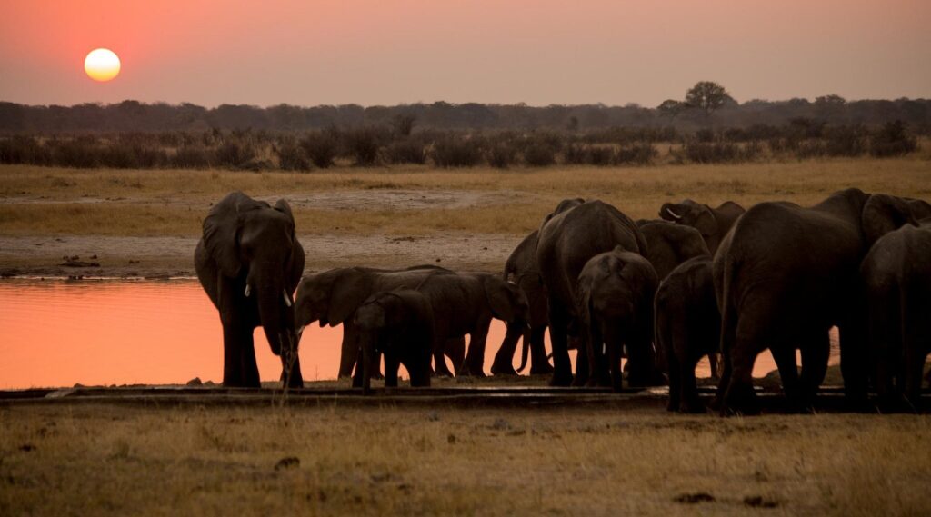  Hwange National Park