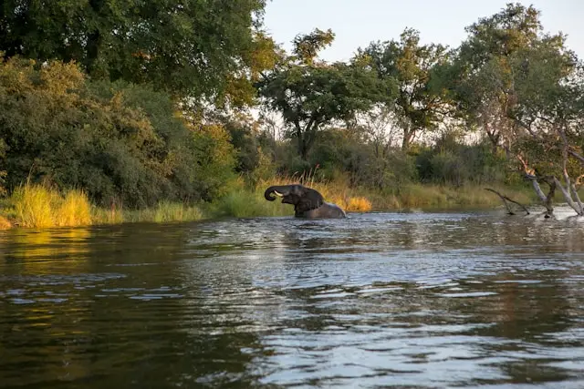 Luxury for Less Zambia Safari