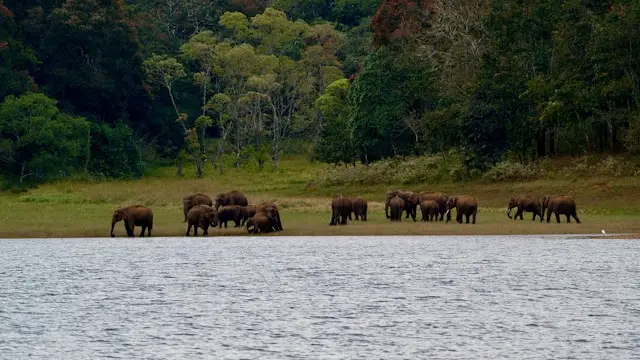South Luangwa National Park