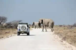 Intrinsic Namibian Deluxe Safari
