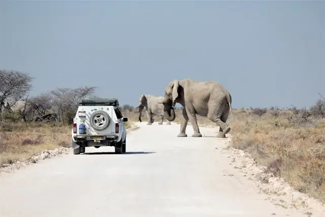 Intrinsic Namibian Deluxe Safari