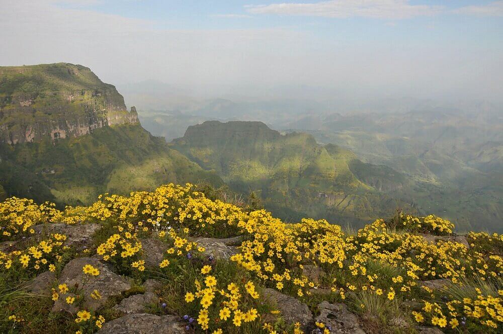  Simien Mountains National Park