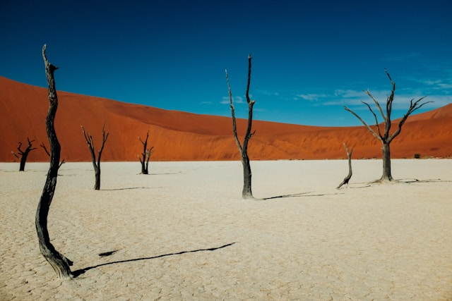 Namibia Country Factsheet