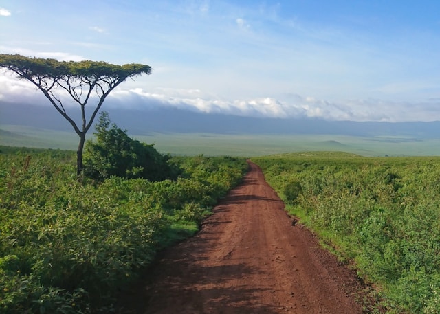 Discover the Fascinating History of Ngorongoro Crater