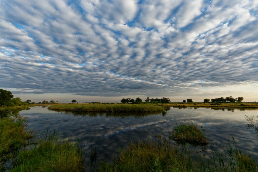 Okavango Delta