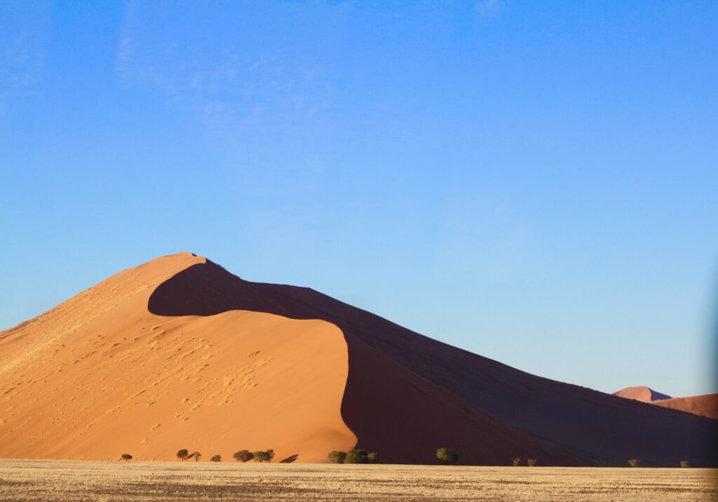 Namib Desert