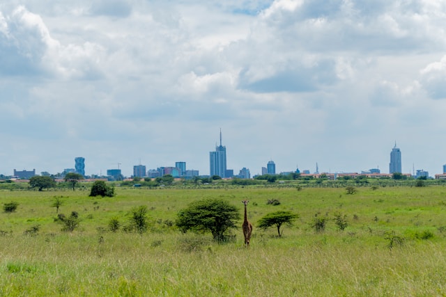 Kenya Country Factsheet