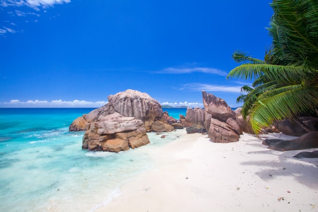 Seychelles Country Factsheet