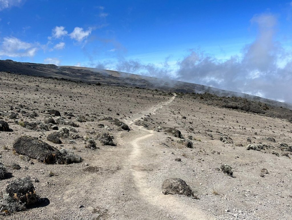 Discover a World of Tanzania Activities with Jolita Safari