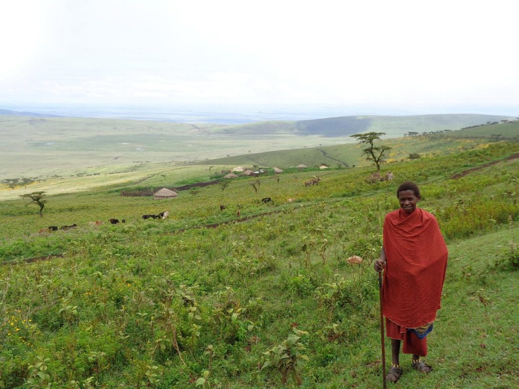 Discover a World of Tanzania Activities with Jolita Safari